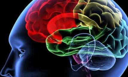 This is your brain on materialism