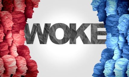 The woke right: Critical theory for white guys